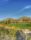 Golf Course Scenery